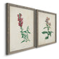Angled view of a set of two gray barnwood framed canvas prints featuring two vintage botanical studies of flowering stems with detailed green leaves on aged cream paper.