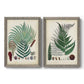 Set of two gray barnwood framed canvas prints featuring two natural-history fern plates featuring vintage fern specimens with botanical details.