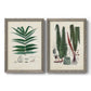 Set of two gray barnwood framed canvas prints featuring two natural-history fern plates featuring vintage fern specimens with botanical details.