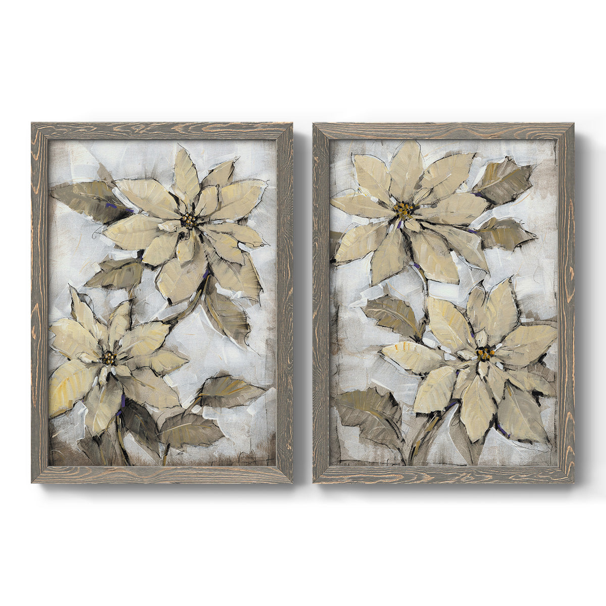 Poinsettia Study I - Barnwood Framed Canvas Set