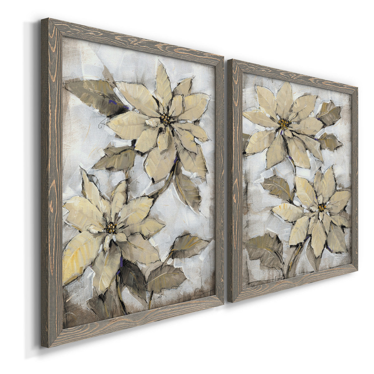 Poinsettia Study I - Barnwood Framed Canvas Set
