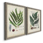 Angled view of a set of two gray barnwood framed canvas prints featuring two natural-history fern plates featuring vintage fern specimens with botanical details.