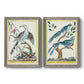 Set of two gray barnwood framed canvas prints featuring two antique ornithological plate illustrations featuring vintage exotic birds perched in landscape settings.