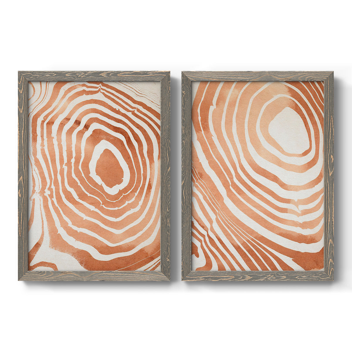 Set of two gray barnwood framed canvas prints featuring two minimalist marbled pattern abstracts featuring concentric wood-grain rings and rippling contour lines.