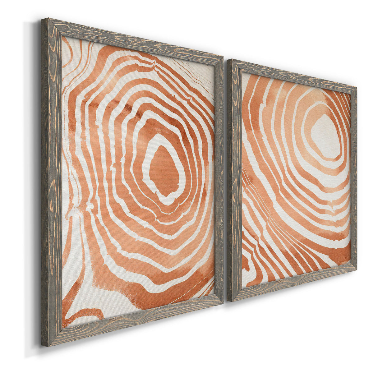 Angled view of a set of two gray barnwood framed canvas prints featuring two minimalist marbled pattern abstracts featuring concentric wood-grain rings and rippling contour lines.