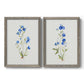 Set of two gray barnwood framed canvas prints featuring two delicate watercolor botanical studies featuring small blue wildflower stems.