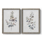 Set of two gray barnwood framed canvas prints featuring two minimalist watercolor botanical studies featuring delicate eucalyptus branches with rounded leaves.
