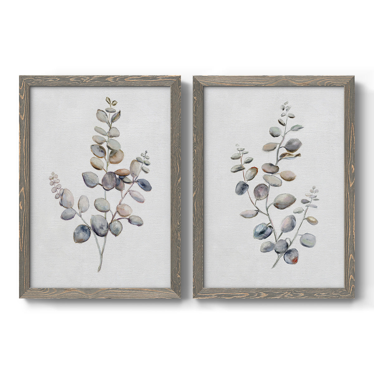 Set of two gray barnwood framed canvas prints featuring two minimalist watercolor botanical studies featuring delicate eucalyptus branches with rounded leaves.