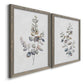Angled view of a set of two gray barnwood framed canvas prints featuring two minimalist watercolor botanical studies featuring delicate eucalyptus branches with rounded leaves.