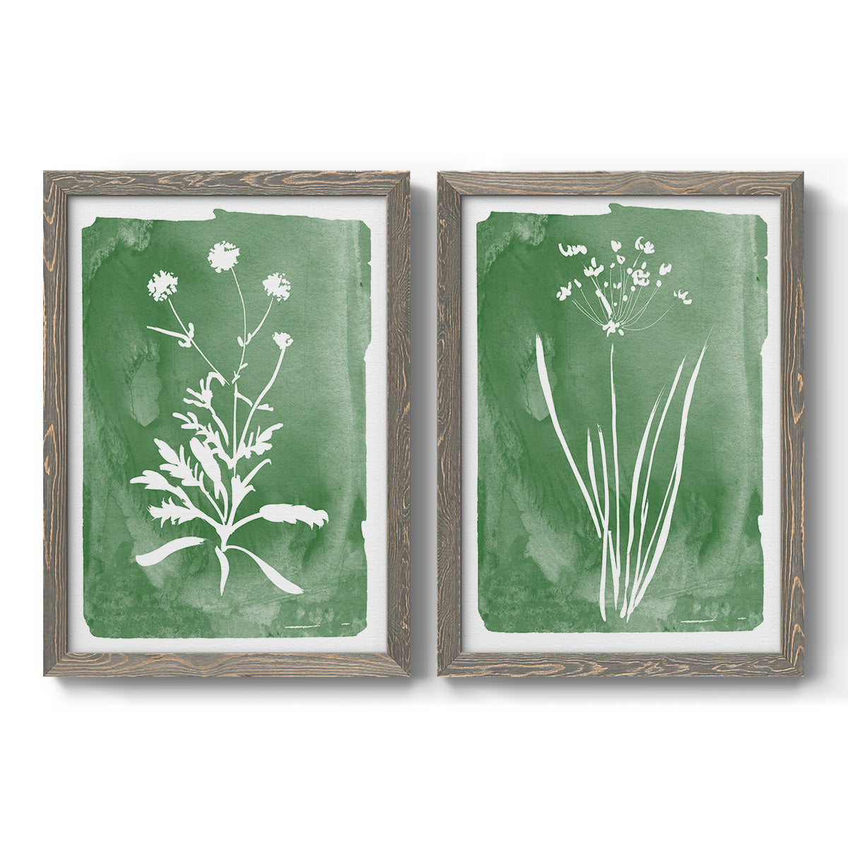 Set of two gray barnwood framed canvas prints featuring two rustic minimalist botanical studies featuring delicate wildflower and leafy stems.
