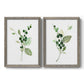 Set of two gray barnwood framed canvas prints featuring two rustic watercolor botanical studies featuring green berry sprigs and pale leaves.