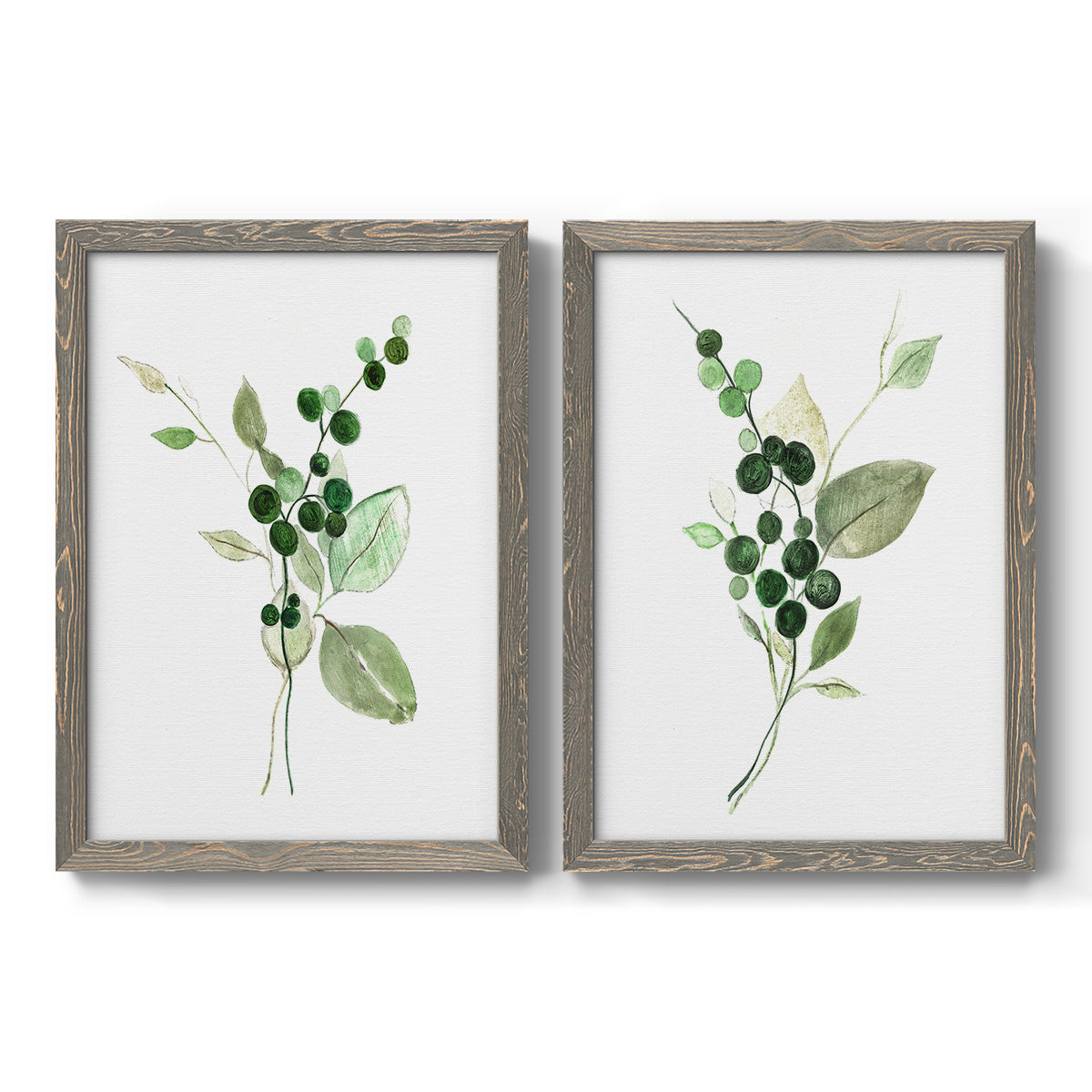 Set of two gray barnwood framed canvas prints featuring two rustic watercolor botanical studies featuring green berry sprigs and pale leaves.