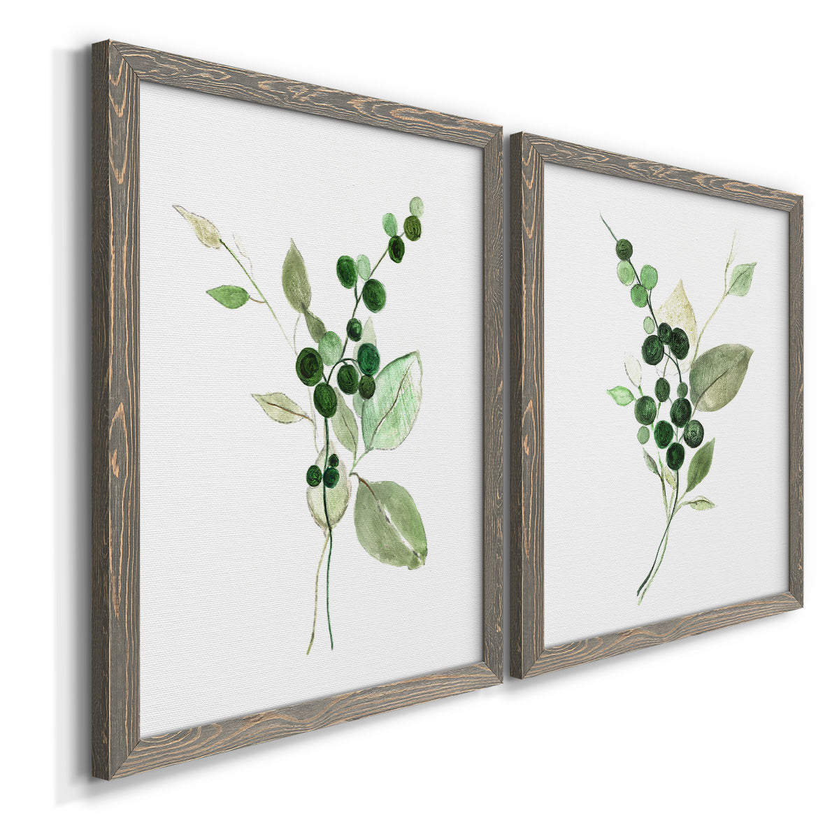 Angled view of a set of two gray barnwood framed canvas prints featuring two rustic watercolor botanical studies featuring green berry sprigs and pale leaves.