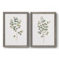Set of two gray barnwood framed canvas prints featuring two minimalist watercolor botanical studies featuring delicate eucalyptus branches with rounded leaves.