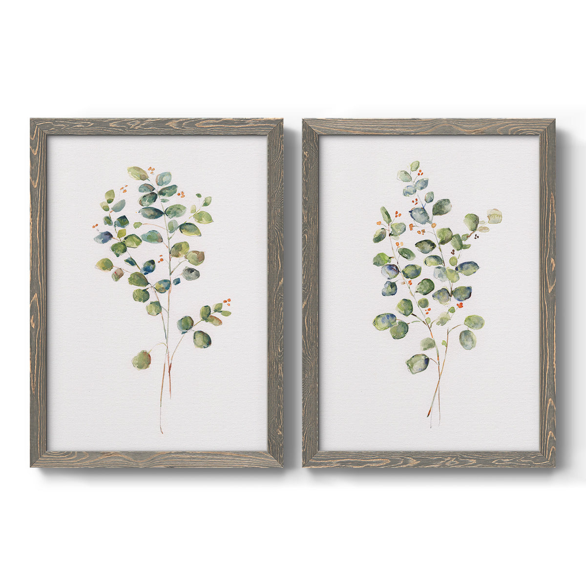 Set of two gray barnwood framed canvas prints featuring two minimalist watercolor botanical studies featuring delicate eucalyptus branches with rounded leaves.