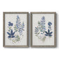 Set of two gray barnwood framed canvas prints featuring two rustic botanical illustrations featuring blue fern fronds and small woodland flowers.