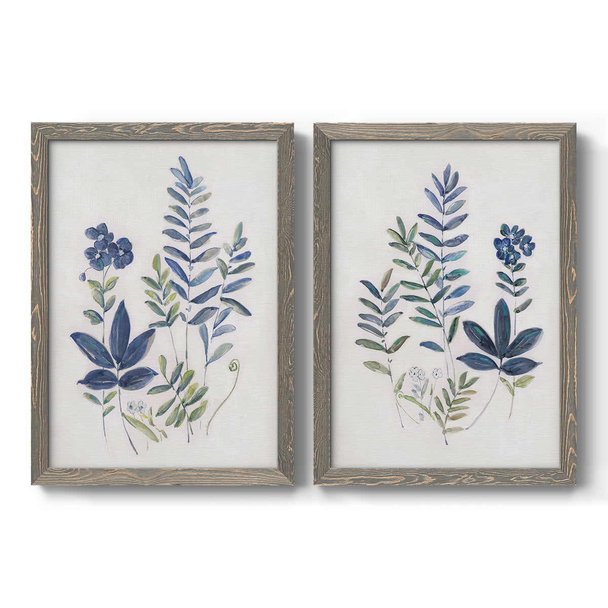 Set of two gray barnwood framed canvas prints featuring two rustic botanical illustrations featuring blue fern fronds and small woodland flowers.