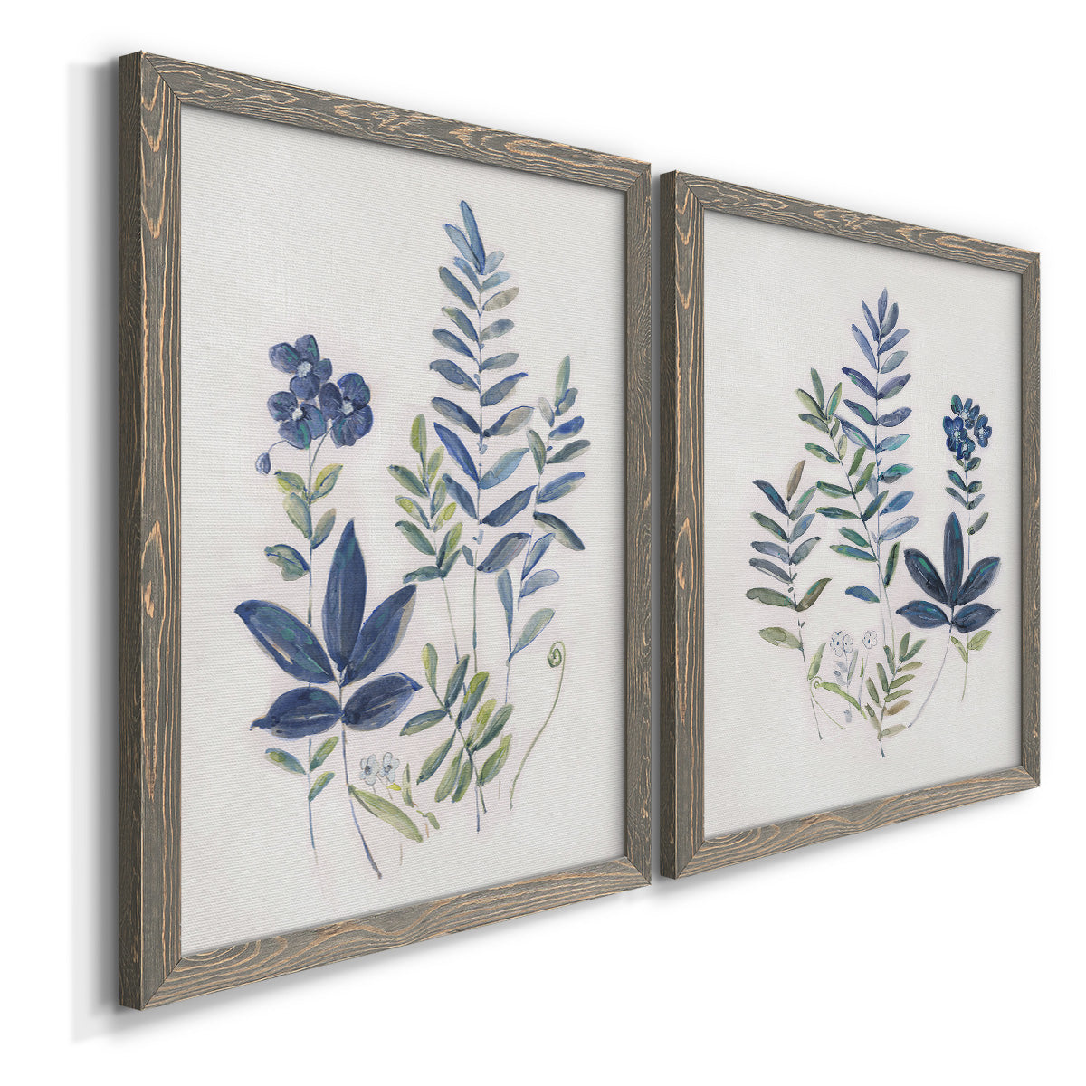Angled view of a set of two gray barnwood framed canvas prints featuring two rustic botanical illustrations featuring blue fern fronds and small woodland flowers.
