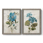 Set of two gray barnwood framed canvas prints featuring two rustic floral illustrations featuring blue peony and hydrangea-like blooms over vintage script.