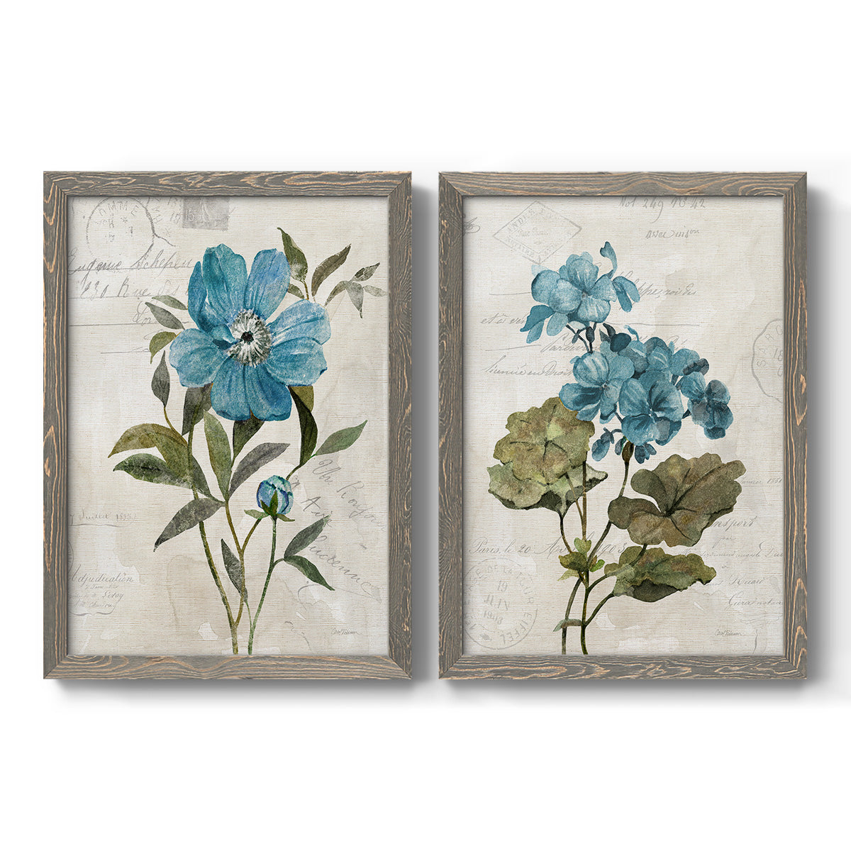 Set of two gray barnwood framed canvas prints featuring two rustic floral illustrations featuring blue peony and hydrangea-like blooms over vintage script.
