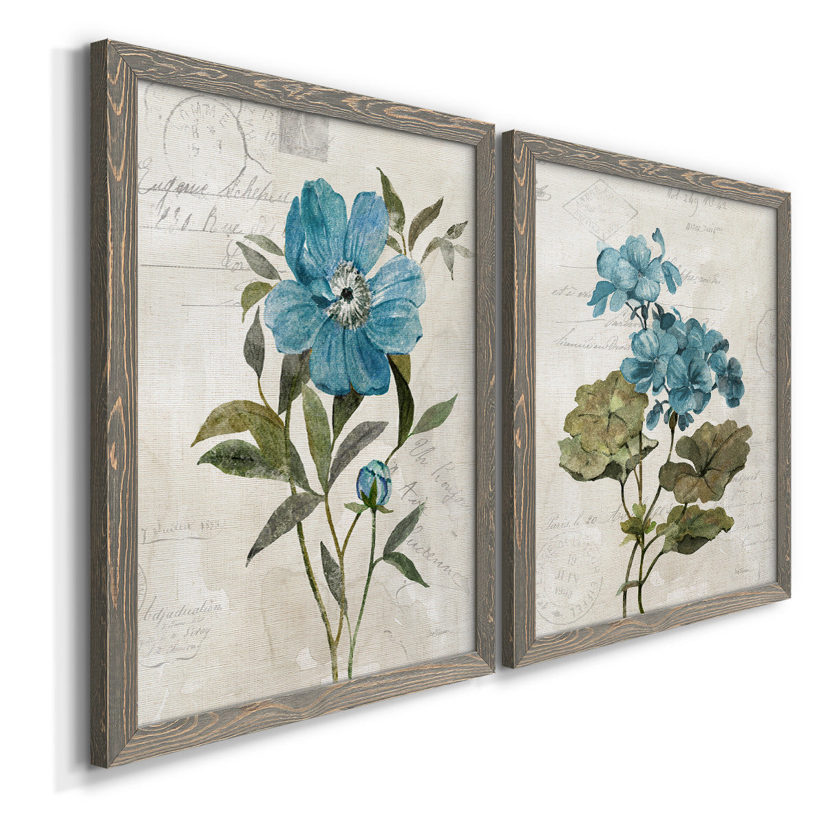 Angled view of a set of two gray barnwood framed canvas prints featuring two rustic floral illustrations featuring blue peony and hydrangea-like blooms over vintage script.