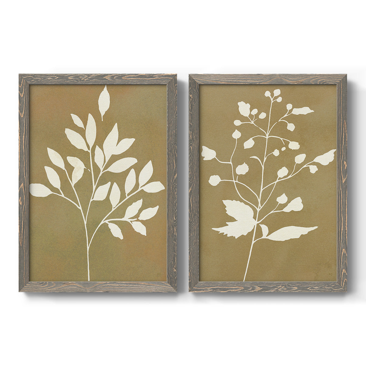 Set of two gray barnwood framed canvas prints featuring two minimalist botanical silhouettes with white leafy stems against warm honey gold backgrounds.