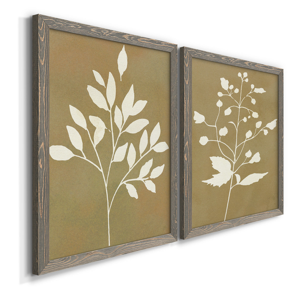 Angled view of a set of two gray barnwood framed canvas prints featuring two minimalist botanical silhouettes with white leafy stems against warm honey gold backgrounds.