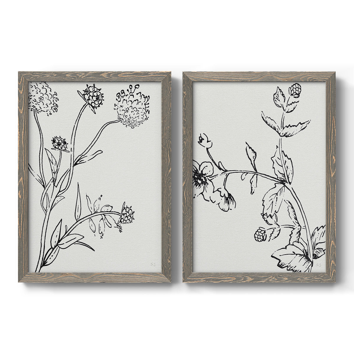 Set of two gray barnwood framed canvas prints featuring two minimalist botanical sketches featuring black line drawings of wildflowers and leaves.