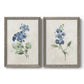 Set of two gray barnwood framed canvas prints featuring two farmhouse botanical illustrations featuring blue periwinkle flowers with leafy stems.