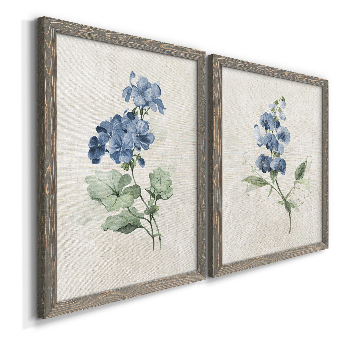 Angled view of a set of two gray barnwood framed canvas prints featuring two farmhouse botanical illustrations featuring blue periwinkle flowers with leafy stems.
