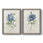 Set of two gray barnwood framed canvas prints featuring two farmhouse botanical illustrations featuring blue periwinkle flowers with leafy stems.