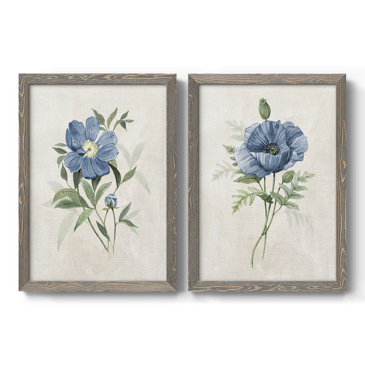 Set of two gray barnwood framed canvas prints featuring two farmhouse botanical illustrations featuring blue periwinkle flowers with leafy stems.