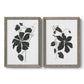 Set of two gray barnwood framed canvas prints featuring two minimalist botanical prints featuring black leafy vine silhouettes.