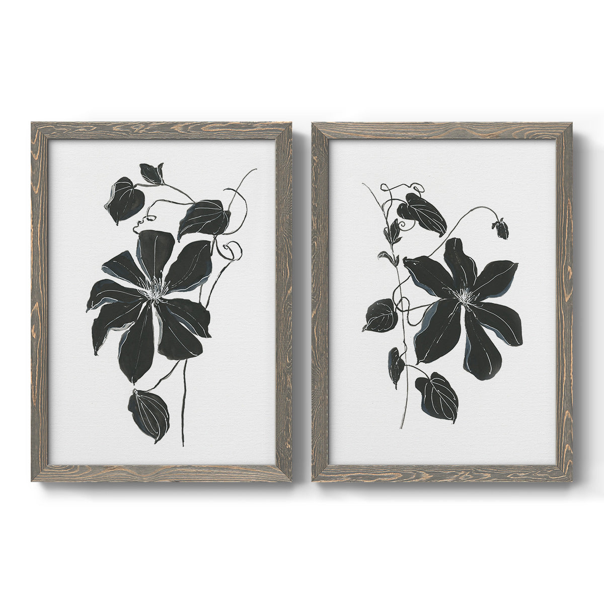 Set of two gray barnwood framed canvas prints featuring two minimalist botanical prints featuring black leafy vine silhouettes.