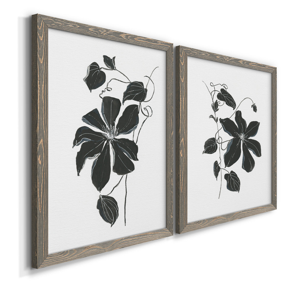 Angled view of a set of two gray barnwood framed canvas prints featuring two minimalist botanical prints featuring black leafy vine silhouettes.