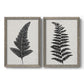 Set of two gray barnwood framed canvas prints featuring two minimalist botanical prints featuring black fern leaf silhouettes.
