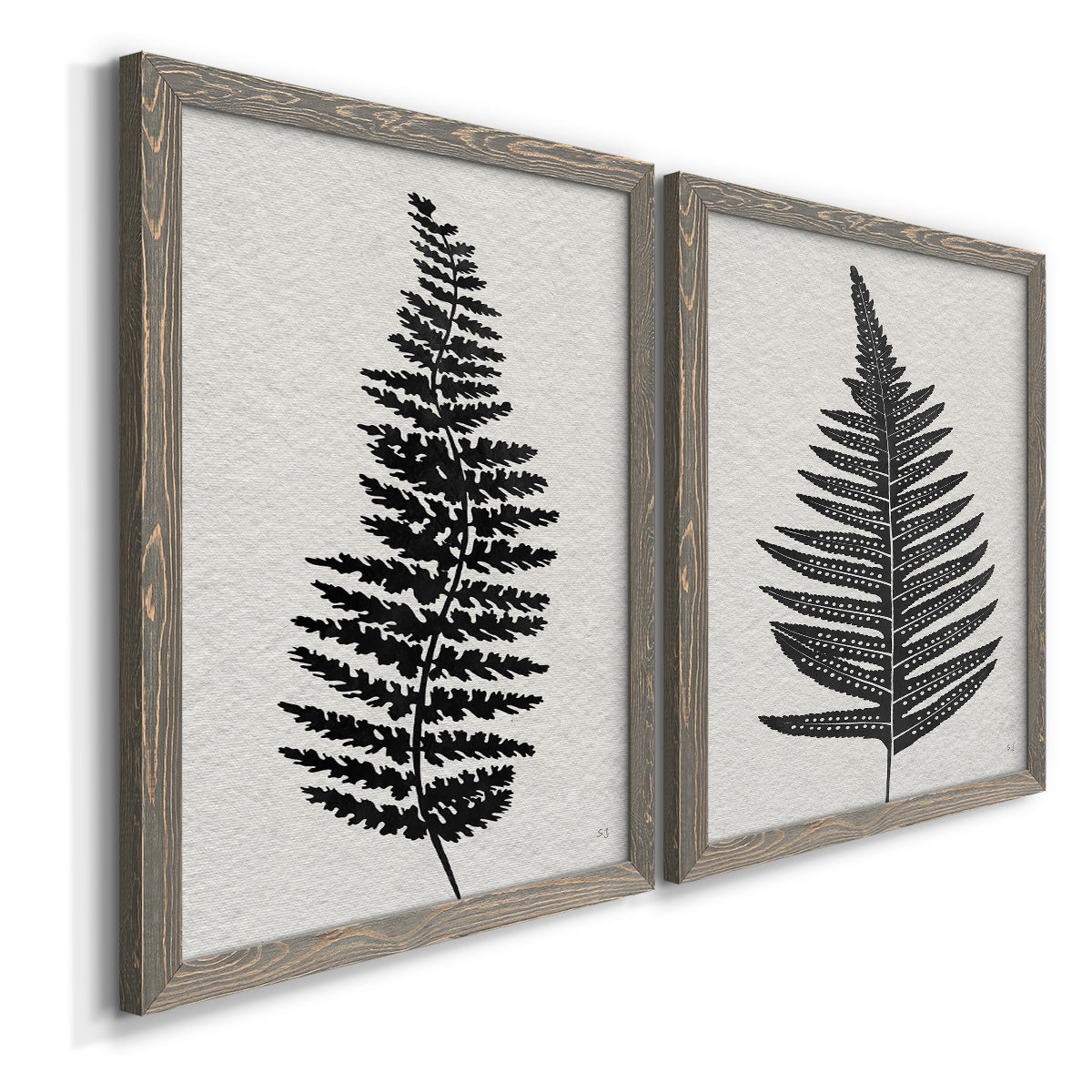 Angled view of a set of two gray barnwood framed canvas prints featuring two minimalist botanical prints featuring black fern leaf silhouettes.