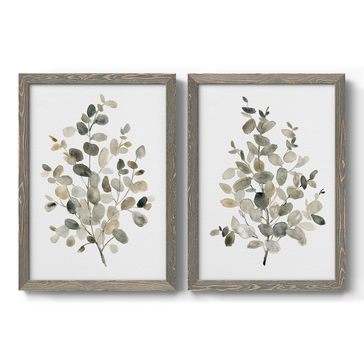 Set of two gray barnwood framed canvas prints featuring two minimalist watercolor botanical studies featuring delicate eucalyptus branches with rounded leaves.