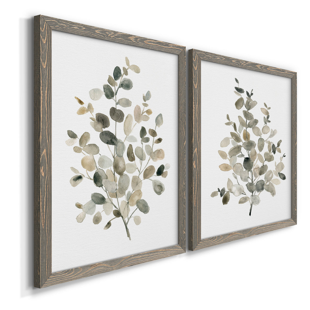 Angled view of a set of two gray barnwood framed canvas prints featuring two minimalist watercolor botanical studies featuring delicate eucalyptus branches with rounded leaves.