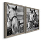 Angled view of a set of two gray barnwood framed canvas prints featuring two modern equestrian photography featuring black-and-white close-up portraits of horses at fences.