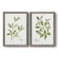 Set of two gray barnwood framed canvas prints featuring two farmhouse herb illustrations featuring culinary sage and basil sprigs with handwritten labels.