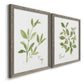 Angled view of a set of two gray barnwood framed canvas prints featuring two farmhouse herb illustrations featuring culinary sage and basil sprigs with handwritten labels.