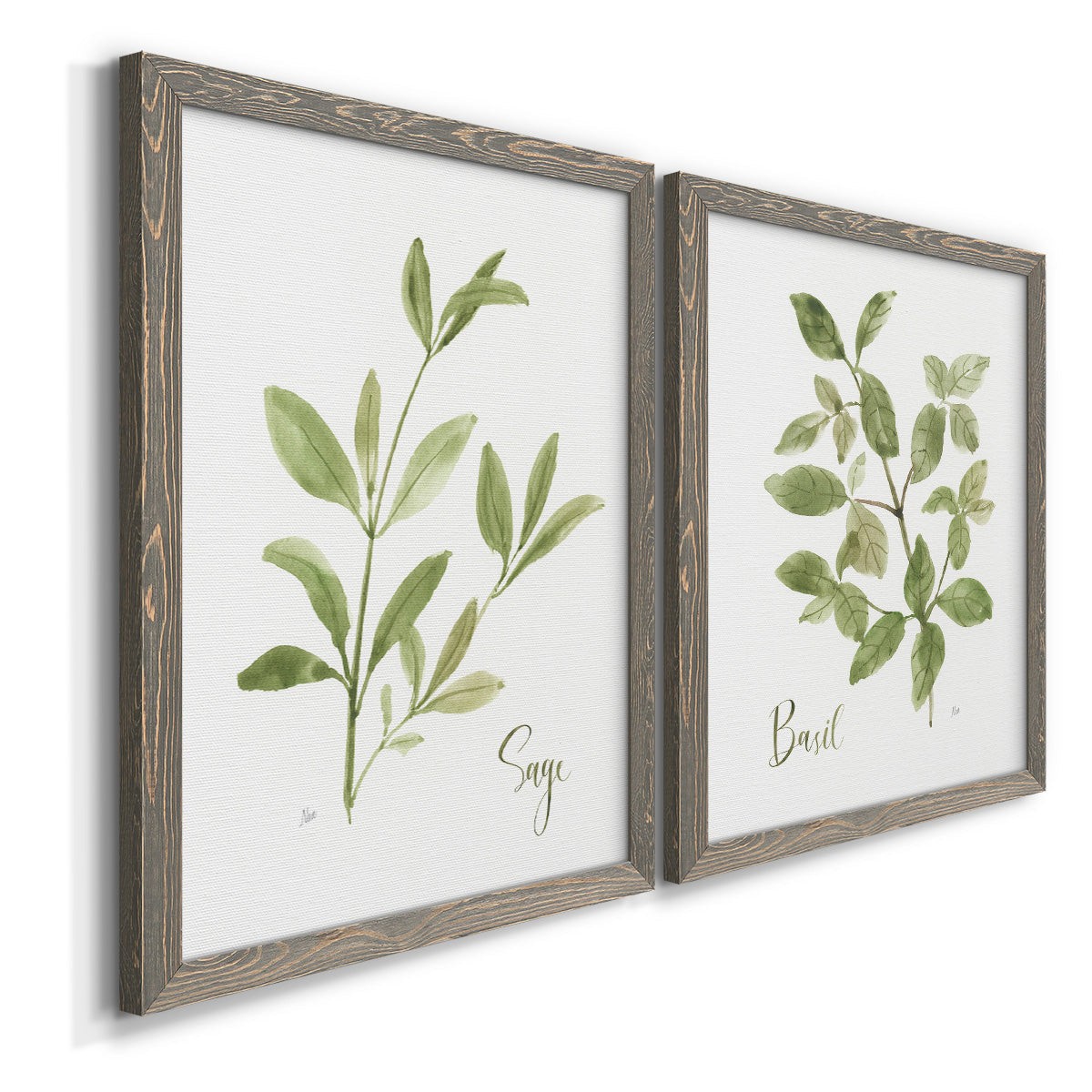 Angled view of a set of two gray barnwood framed canvas prints featuring two farmhouse herb illustrations featuring culinary sage and basil sprigs with handwritten labels.