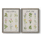 Set of two gray barnwood framed canvas prints featuring two farmhouse botanical chart prints featuring labeled collections of culinary herbs and wildflowers.