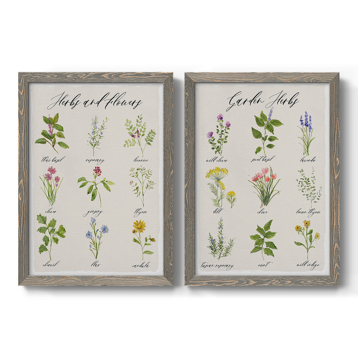 Set of two gray barnwood framed canvas prints featuring two farmhouse botanical chart prints featuring labeled collections of culinary herbs and wildflowers.