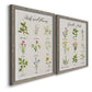Angled view of a set of two gray barnwood framed canvas prints featuring two farmhouse botanical chart prints featuring labeled collections of culinary herbs and wildflowers.