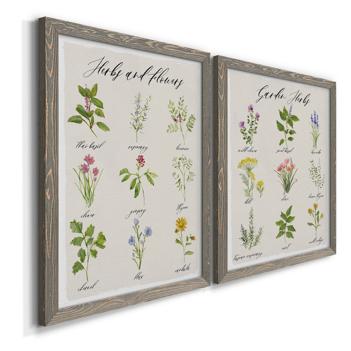 Angled view of a set of two gray barnwood framed canvas prints featuring two farmhouse botanical chart prints featuring labeled collections of culinary herbs and wildflowers.