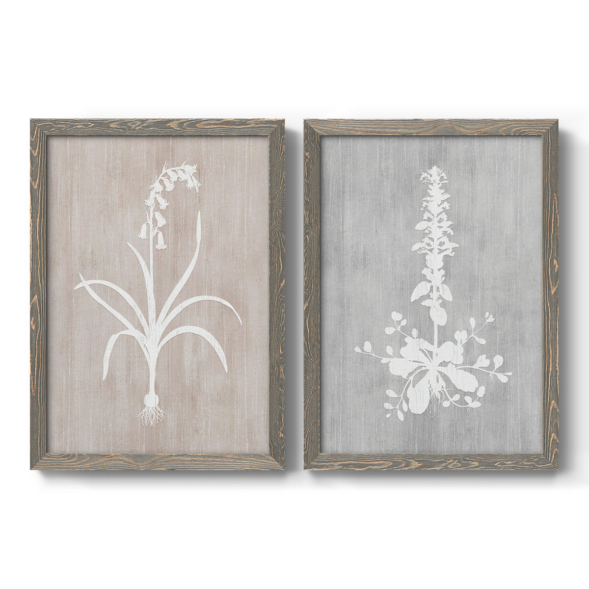 Set of two gray barnwood framed canvas prints featuring two rustic minimalist botanical prints featuring white botanical silhouettes on softly weathered neutral backgrounds.