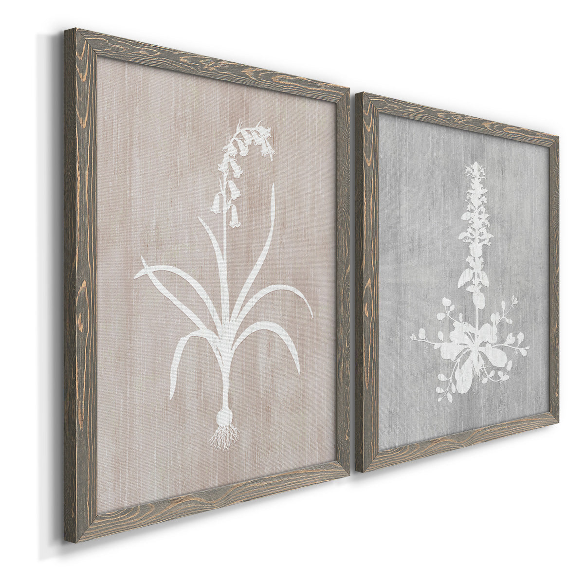 Angled view of a set of two gray barnwood framed canvas prints featuring two rustic minimalist botanical prints featuring white botanical silhouettes on softly weathered neutral backgrounds.