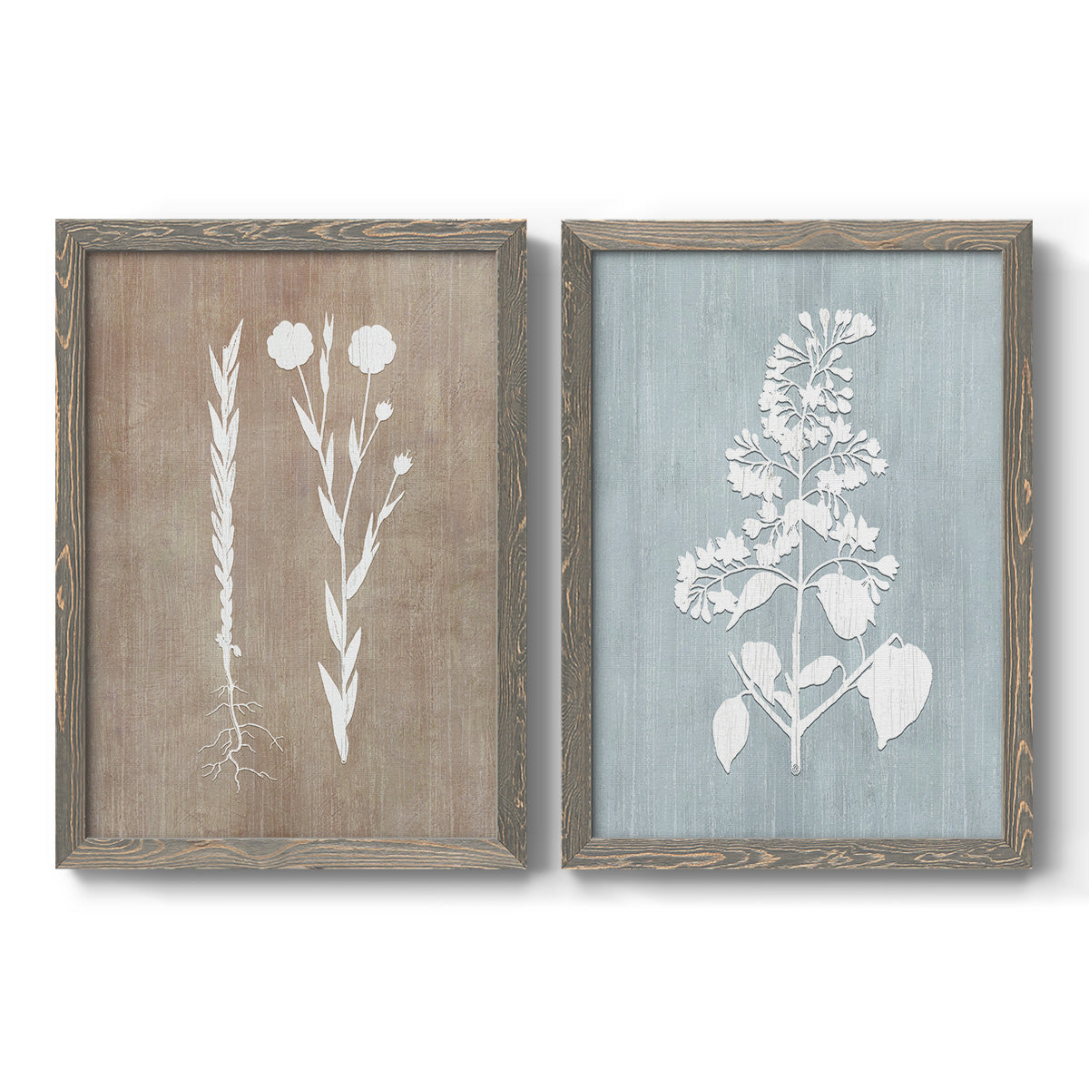 Set of two gray barnwood framed canvas prints featuring two rustic minimalist botanical prints featuring white botanical silhouettes on softly weathered neutral backgrounds.